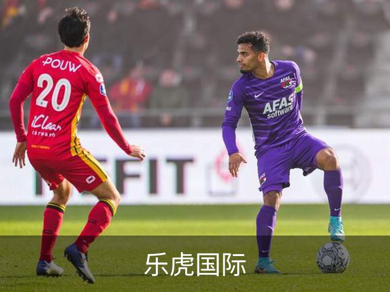 乐虎国际简介